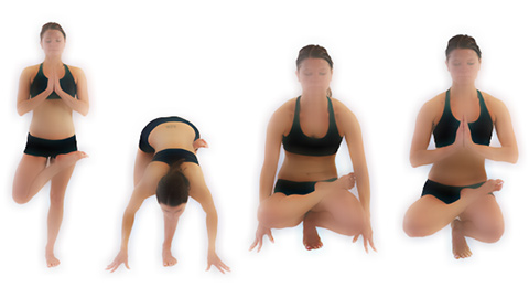 Bikram Posture - Toe Stand  Adelaide Hills Bikram Stirling